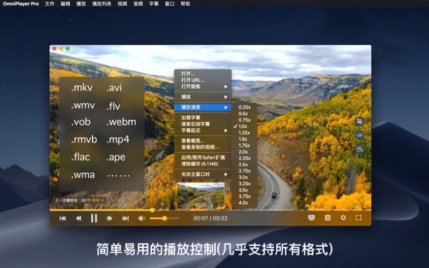 Mac端最好用的视频播放器 OmniPlayer Pro for Mac